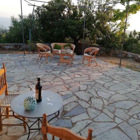 Theasea House With Garden Riglia Exterior photo